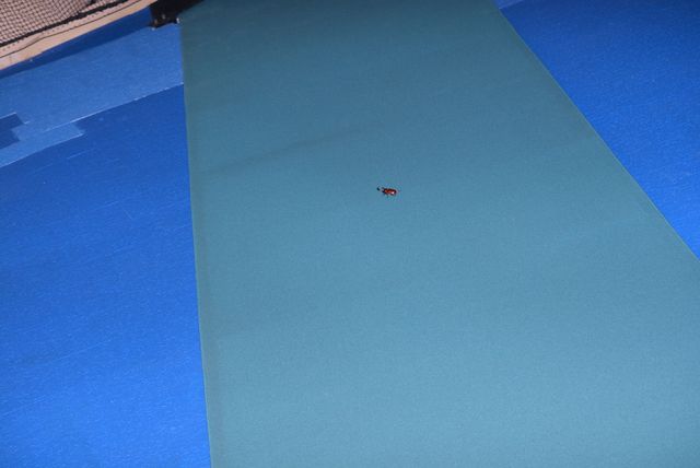 吉田羊の腕をカブトムシが…！『アリのままでいたい』初日フォトギャラリー（11枚目）