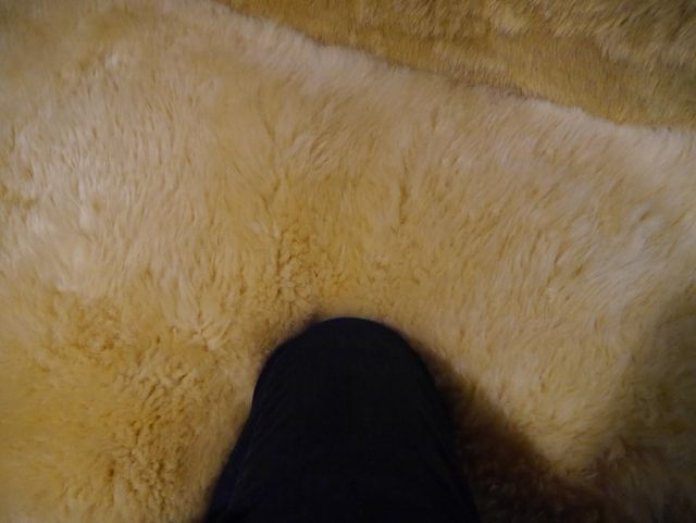 あなたもネコバスに乗ってみませんか…？リニューアルしたジブリ美術館フォトギャラリー（9枚目）