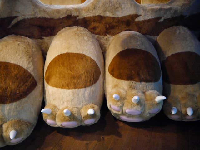 あなたもネコバスに乗ってみませんか…？リニューアルしたジブリ美術館フォトギャラリー（21枚目）