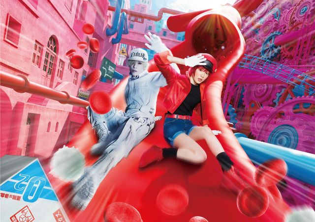 仕事中の細胞たち！『はたらく細胞』より（9枚目）