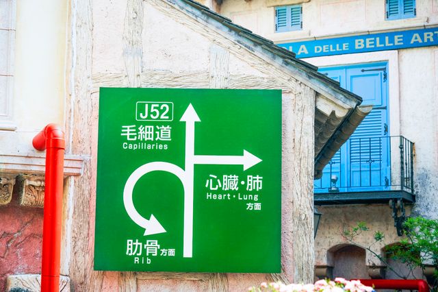 仕事中の細胞たち！『はたらく細胞』より（12枚目）