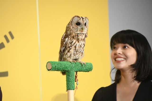 香取慎吾、フクロウと一緒に登場！『犬も食わねどチャーリーは笑う』公開記念舞台あいさつ（7枚目）