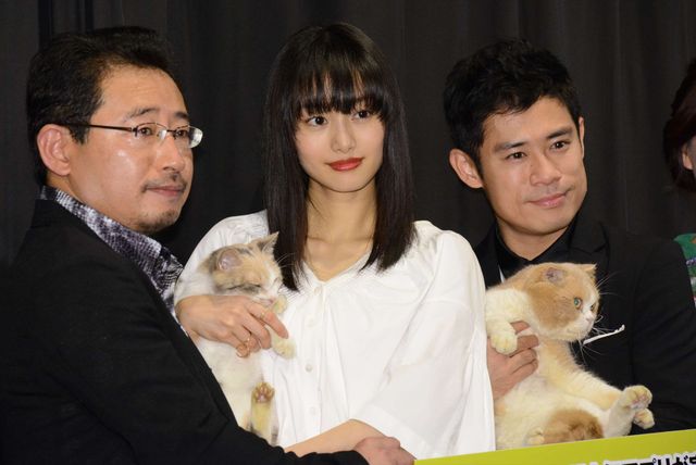 【写真】止まらない美人化… 忽那汐里の美ぼうに猫もメロメロ!?：フォトギャラリー