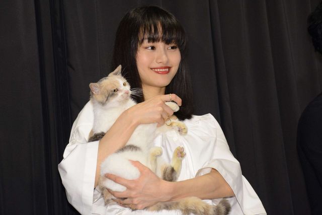 【写真】止まらない美人化… 忽那汐里の美ぼうに猫もメロメロ!?（4枚目）