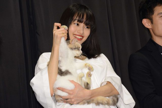 【写真】止まらない美人化… 忽那汐里の美ぼうに猫もメロメロ!?（5枚目）