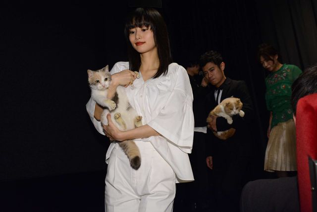 【写真】止まらない美人化… 忽那汐里の美ぼうに猫もメロメロ!?（6枚目）