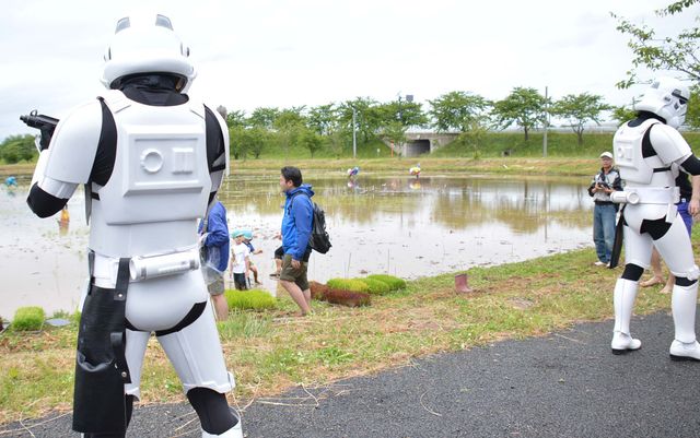『スター・ウォーズ』田んぼアート作業をストームトルーパーが警護！フォトギャラリー（2枚目）