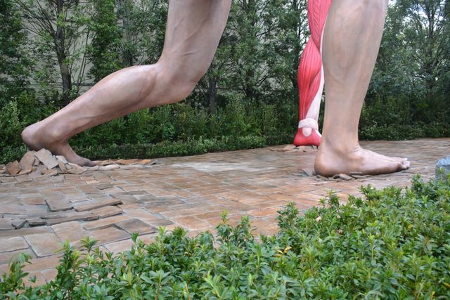 「ユニバーサル・クールジャパン」プレスプレビューフォトギャラリー（28枚目）