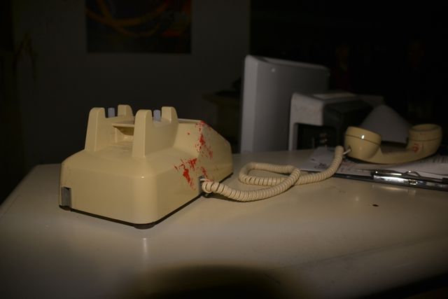 「ユニバーサル・クールジャパン」プレスプレビューフォトギャラリー（70枚目）