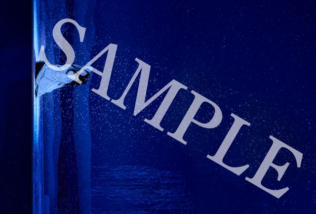 映画『国宝』入場者プレゼント2弾ビジュアル＜3枚＞（3枚目）