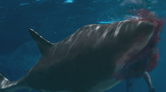 ホホジロザメだっ！『海上48hours －悪夢のバカンス－』場面写真（3枚目）