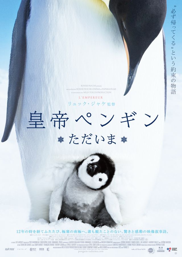 皇帝ペンギン 続編8月公開 かわいいだけではない真の姿 シネマトゥデイ 映画の情報を毎日更新