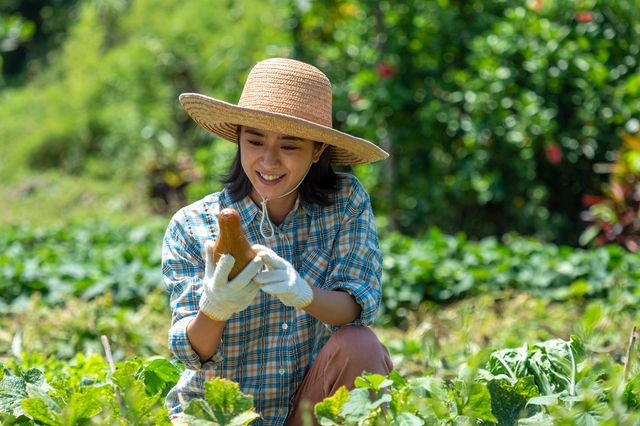 「ちむどんどん」第117回の場面写真：フォトギャラリー