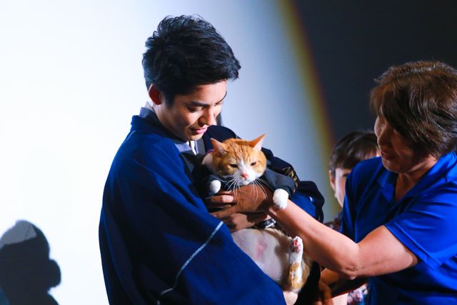 “わがままボディ”で人気の猫・金時～！『猫忍』初日舞台あいさつ：フォトギャラリー