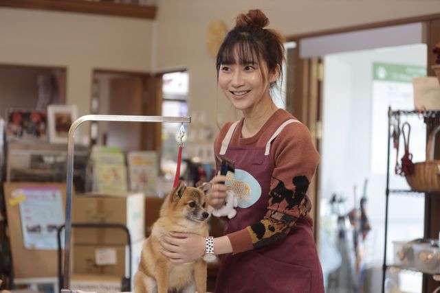 ドラマ「シッコウ!!～犬と私と執行官～」第1話場面カット（11枚目）