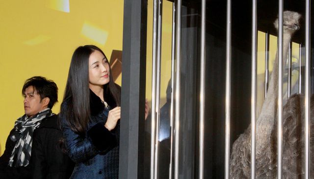 メンバー勢ぞろい！『TRICK トリック』完結編、完成披露イベント写真ギャラリー（17枚目）