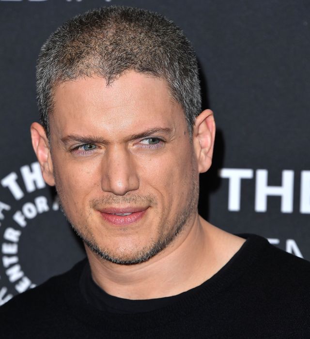 「プリズン・ブレイク」マイケル役で知られるウェントワース・ミラー（2枚目）