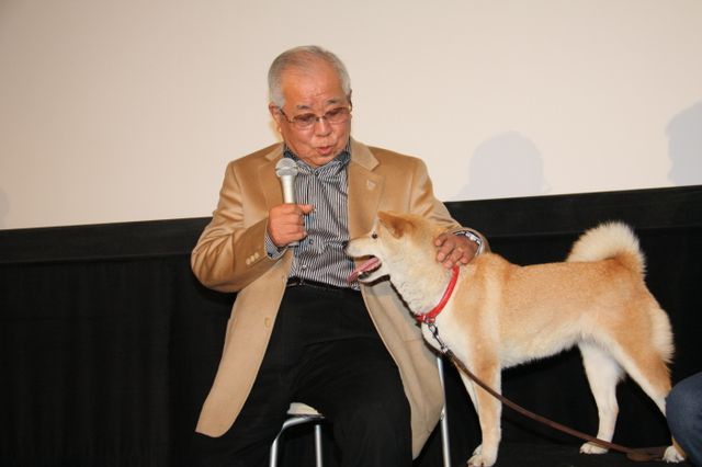 映画『ひまわりと子犬の7日間』試写会イベントフォトギャラリー（2枚目）