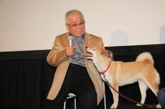 映画『ひまわりと子犬の7日間』試写会イベントフォトギャラリー（4枚目）