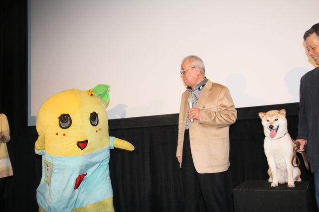 映画『ひまわりと子犬の7日間』試写会イベントフォトギャラリー（5枚目）