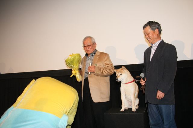 映画『ひまわりと子犬の7日間』試写会イベントフォトギャラリー（7枚目）