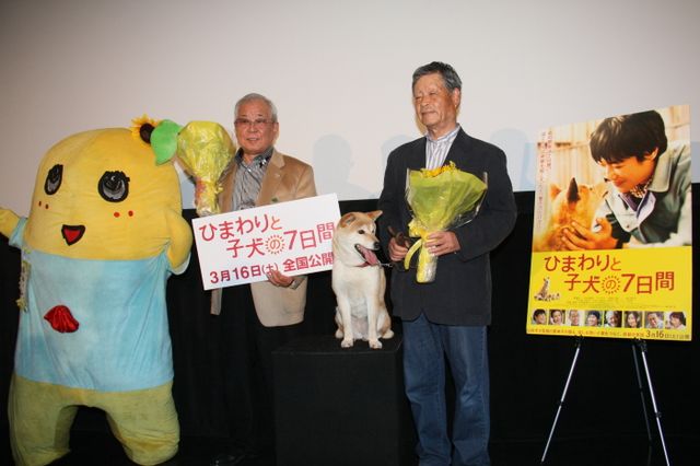 映画『ひまわりと子犬の7日間』試写会イベントフォトギャラリー（8枚目）
