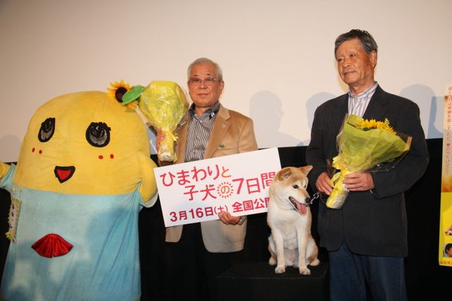 映画『ひまわりと子犬の7日間』試写会イベントフォトギャラリー（9枚目）
