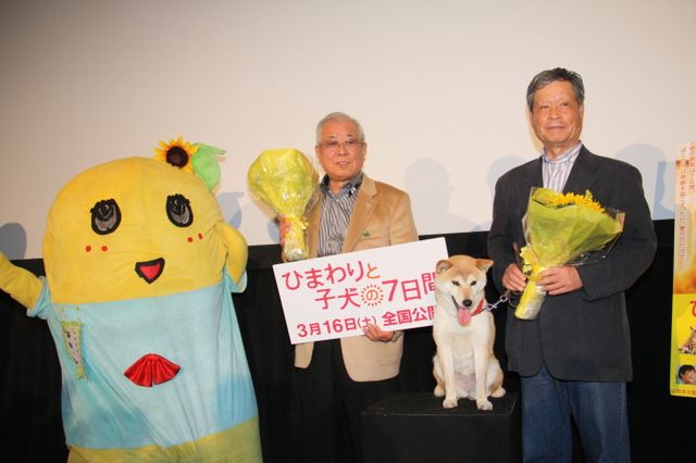 映画『ひまわりと子犬の7日間』試写会イベントフォトギャラリー（10枚目）