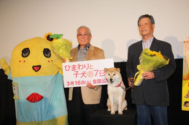 映画『ひまわりと子犬の7日間』試写会イベントフォトギャラリー（11枚目）