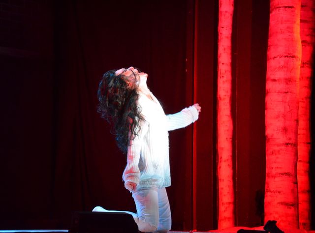 舞台「MORSE－モールス－」写真ギャラリー（20枚目）