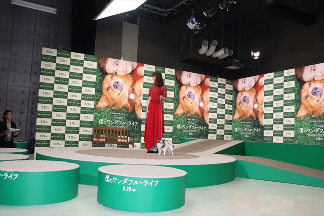 わんちゃんも佐々木希が大好き！映画『僕のワンダフル・ライフ』公開直前ワンダフル・ショーイベント（6枚目）