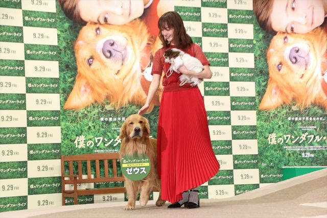 わんちゃんも佐々木希が大好き！映画『僕のワンダフル・ライフ』公開直前ワンダフル・ショーイベント（10枚目）