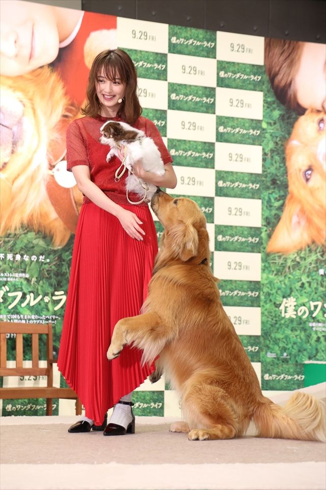 わんちゃんも佐々木希が大好き！映画『僕のワンダフル・ライフ』公開直前ワンダフル・ショーイベント（11枚目）