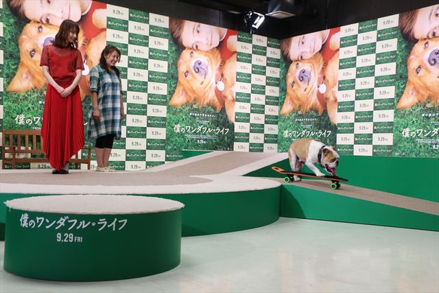 わんちゃんも佐々木希が大好き！映画『僕のワンダフル・ライフ』公開直前ワンダフル・ショーイベント（26枚目）