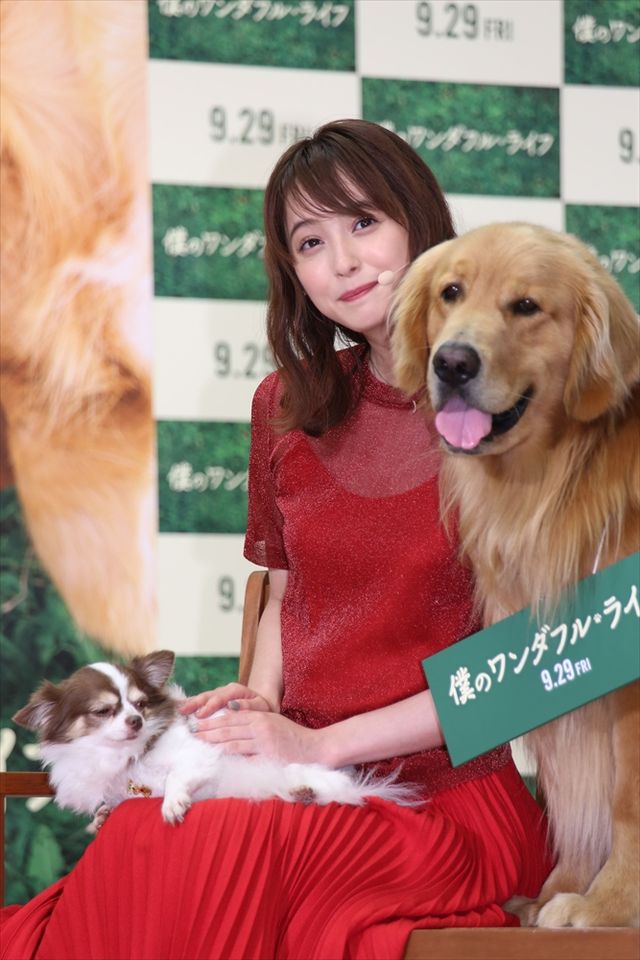 わんちゃんも佐々木希が大好き！映画『僕のワンダフル・ライフ』公開直前ワンダフル・ショーイベント（35枚目）