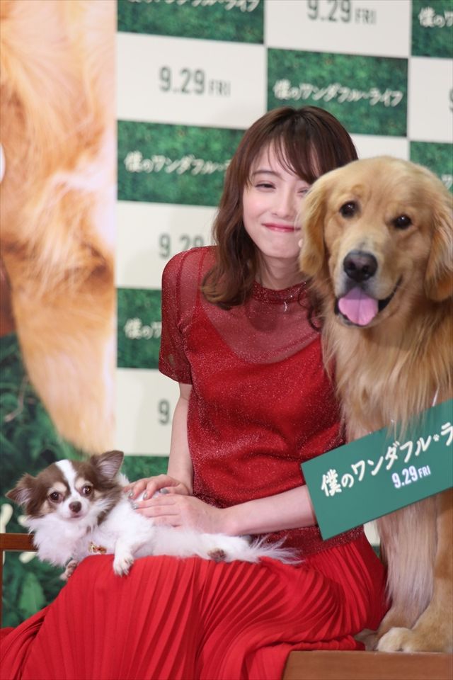 わんちゃんも佐々木希が大好き！映画『僕のワンダフル・ライフ』公開直前ワンダフル・ショーイベント（37枚目）