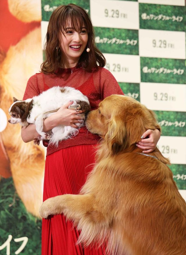 わんちゃんも佐々木希が大好き！映画『僕のワンダフル・ライフ』公開直前ワンダフル・ショーイベント（43枚目）