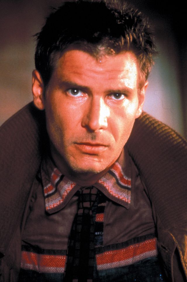 ワイルド！若き日のハリソン・フォード：フォトギャラリー