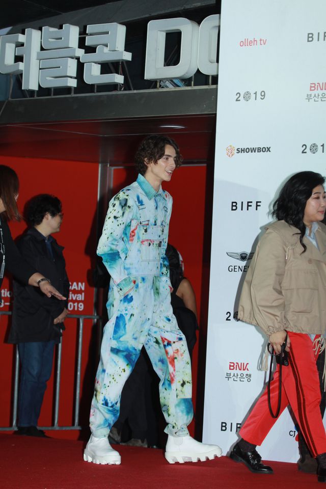 ＜50枚＞超絶美しい…ティモシー・シャラメ麗しの写真セレクション【第24回釜山国際映画祭】（41枚目）