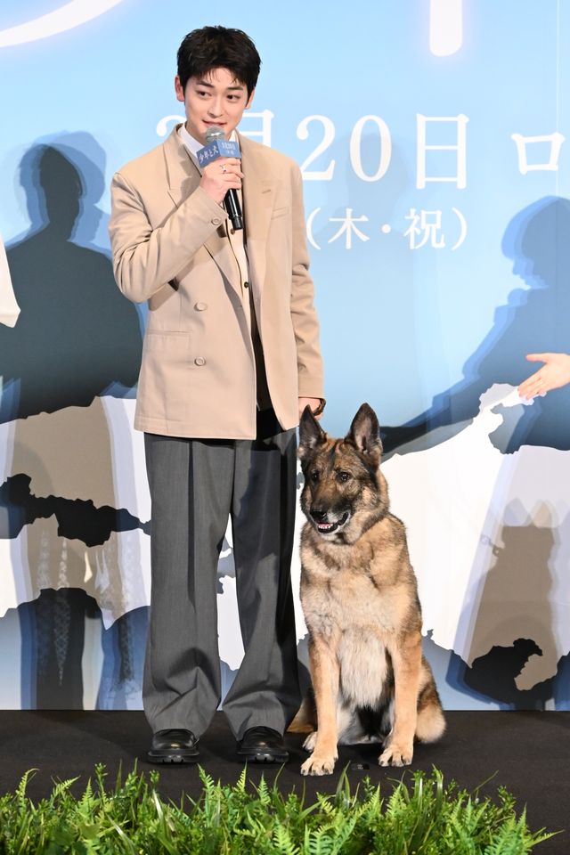 愛犬家勢ぞろい！高橋文哉、西野七瀬、伊藤健太郎ら『少年と犬』完成披露（3枚目）