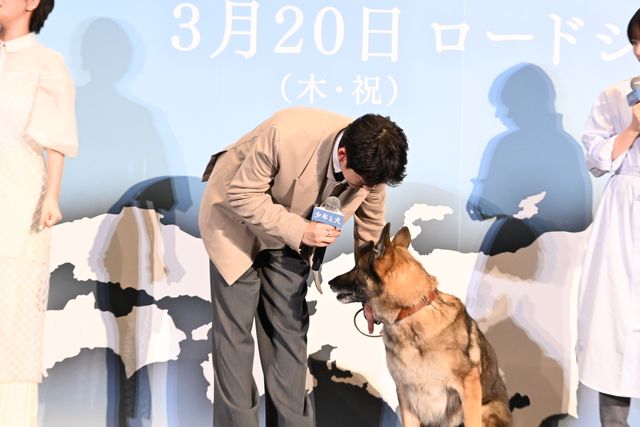 愛犬家勢ぞろい！高橋文哉、西野七瀬、伊藤健太郎ら『少年と犬』完成披露（4枚目）
