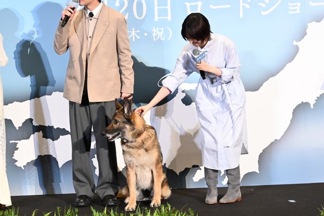 愛犬家勢ぞろい！高橋文哉、西野七瀬、伊藤健太郎ら『少年と犬』完成披露（5枚目）