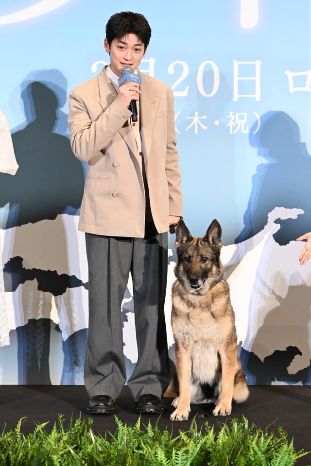 愛犬家勢ぞろい！高橋文哉、西野七瀬、伊藤健太郎ら『少年と犬』完成披露（31枚目）