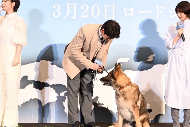 愛犬家勢ぞろい！高橋文哉、西野七瀬、伊藤健太郎ら『少年と犬』完成披露（33枚目）