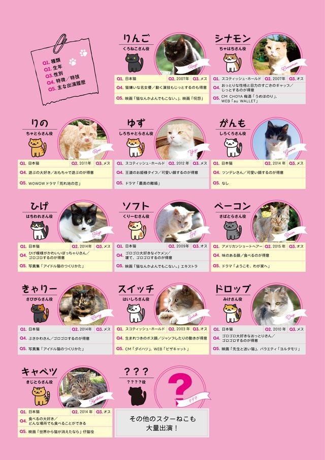 アイドルねこ大集合！実写「ねこあつめ」追加キャット ギャラリー（15枚目）