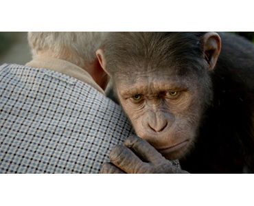 2週連続トップの映画『猿の惑星：創世記（ジェネシス）』場面写真