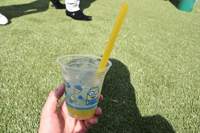 USJ「ミニオン・パーク」オープニングセレモニー＆プレスプレビュー（全32枚）（19枚目）