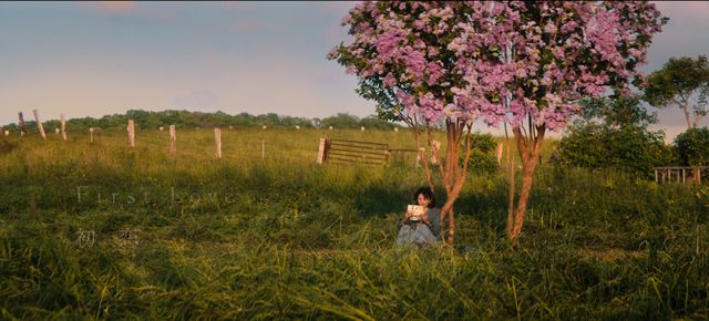 美しい風景ばかり「First Love 初恋」より（2枚目）