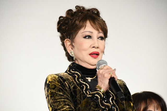 寅さんファミリー勢ぞろい！『男はつらいよ　お帰り　寅さん』公開記念舞台あいさつ（27枚目）