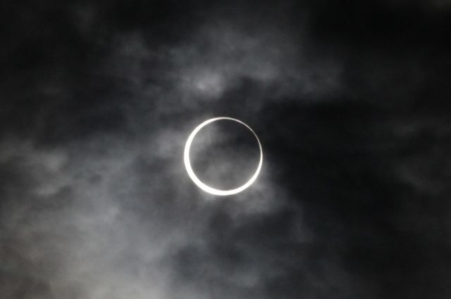 滝田洋二郎監督が金環日食を観察！映画『天地明察』のヒット祈願イベントフォトギャラリー（5枚目）